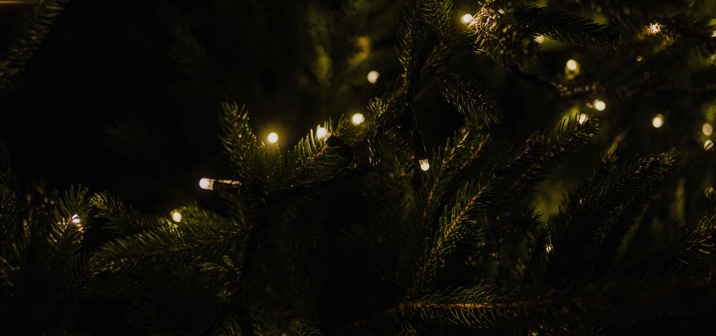 Christmas closure
